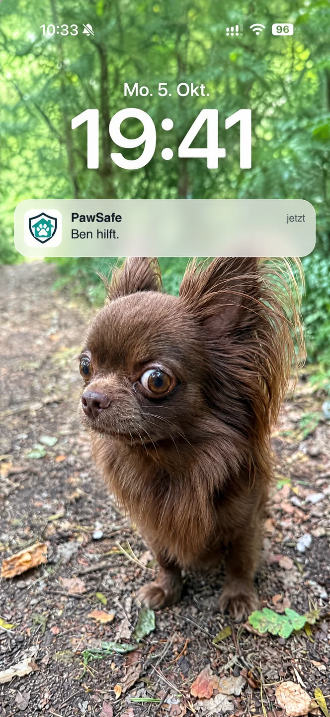 Sperrbildschirm mit einem kleinen braunen Hund als Hintergrund und der PawSafe-Mitteilung „Ben hilft.“